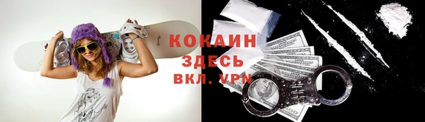 крисы Балахна