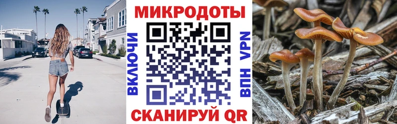 Купить  Кыштым  Псилоцибиновые грибы Cubensis 